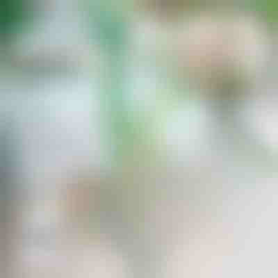 Pflanzen-herbststopper | ROOTZI